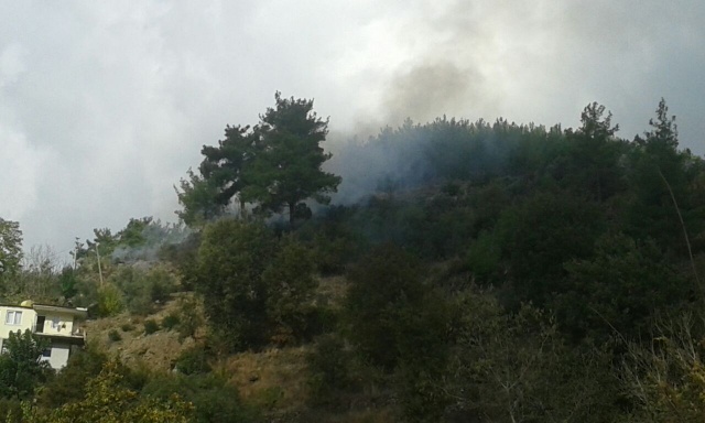 Alanya Sapadere'de Yangın Çıktı 7