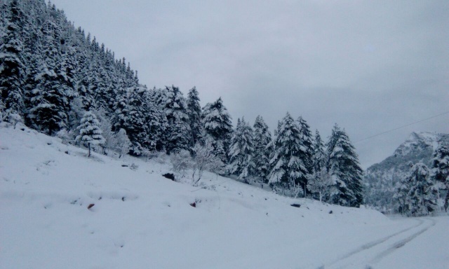 Alanya'ya Kar Yağdı 11