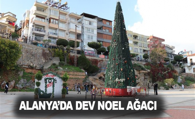 Alanya’da dev Noel ağacı