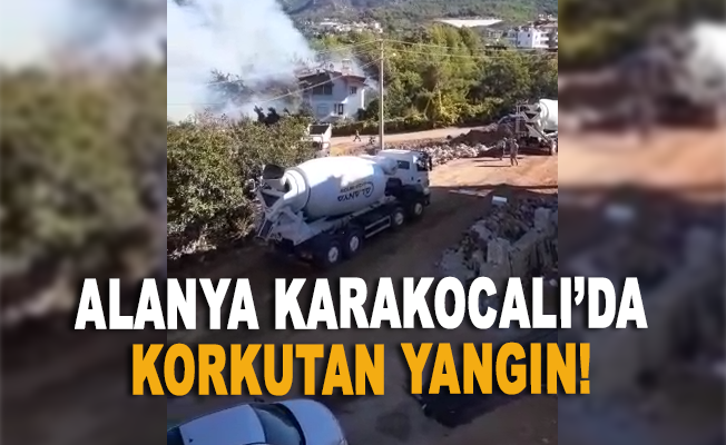 Alanya Karakocalı'da korkutan yangın!