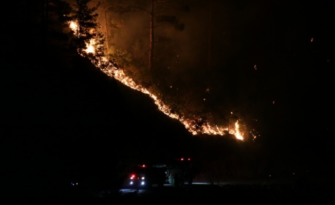Alanya’da dün akşam saatlerinde orman yangını çıktı