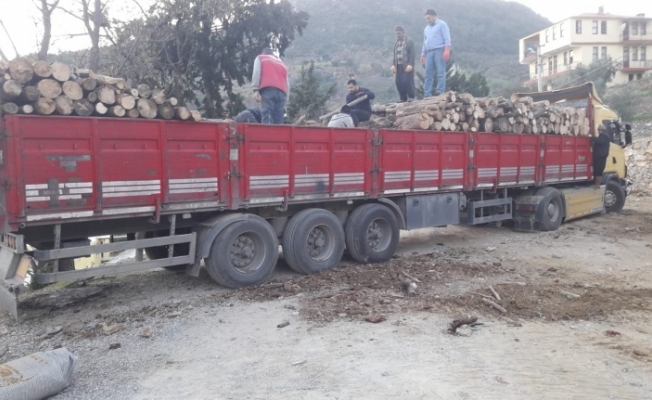 Alanya Orman İşletme Müdürlüğü'nden odun yardımı