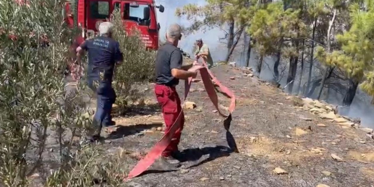 Alanya'da hızlı müdahale! Orman yangını söndürüldü