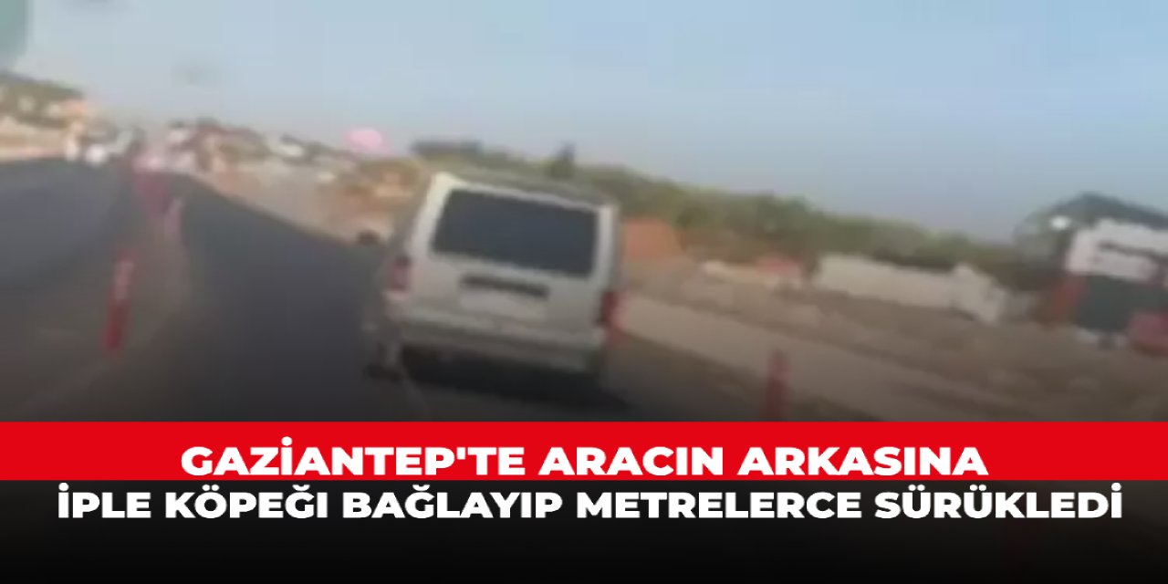 Gaziantep'te aracın arkasına iple köpeği bağlayıp metrelerce sürükledi