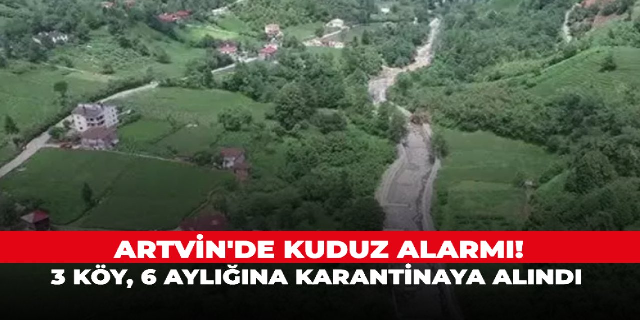 Artvin'de kuduz alarmı! 3 köy, 6 aylığına karantinaya alındı