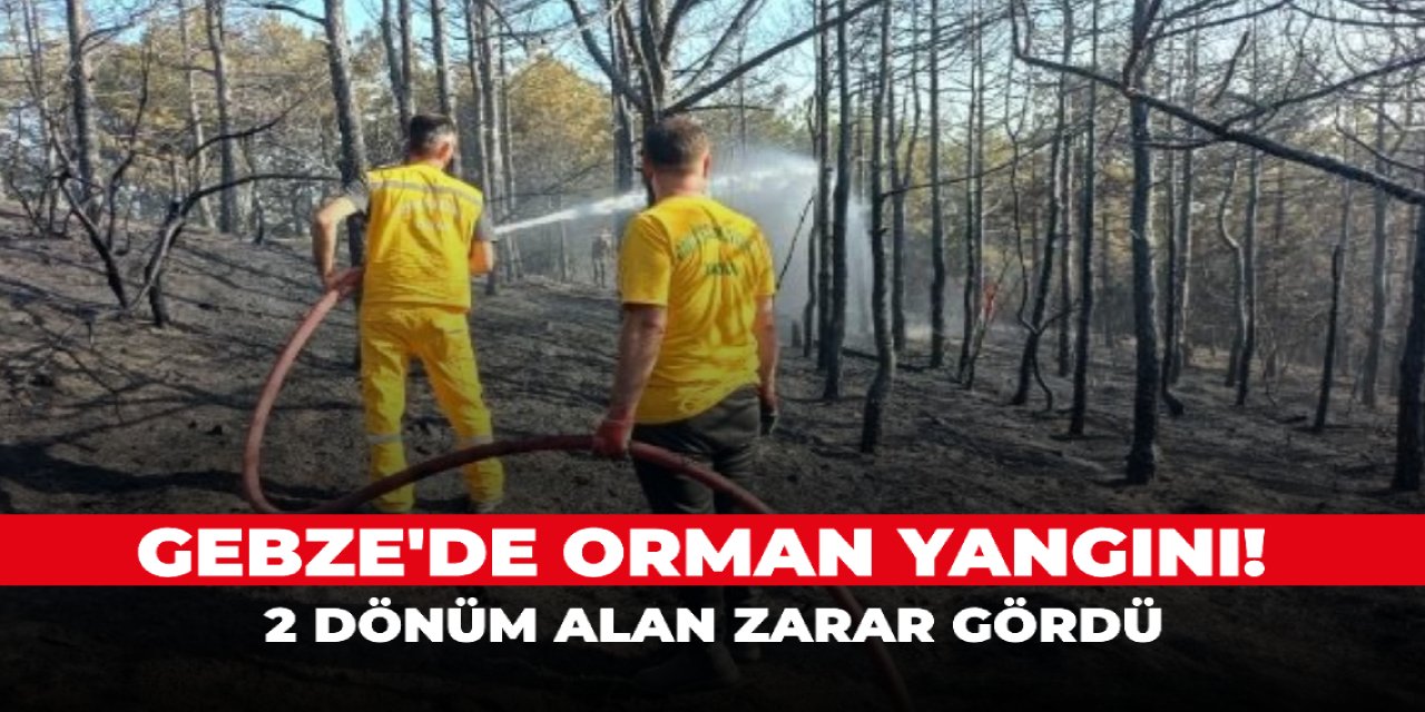 Gebze'de orman yangını! 2 dönüm alan zarar gördü