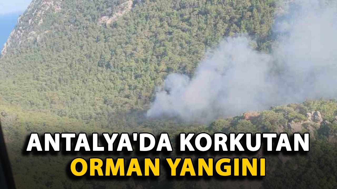 Antalya'da Çıkan Orman Yangını Endişe Yarattı