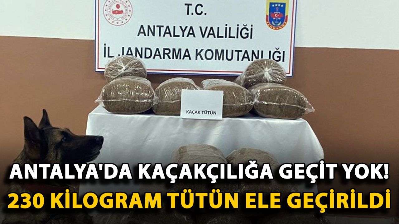 Antalya'da Büyük Operasyon: 230 Kilogram Kaçak Tütün Ele Geçirildi
