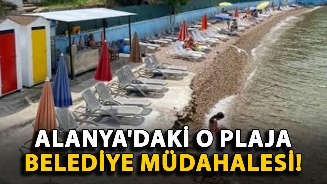 Alanya Belediyesi, Talip Çıkmazsa Plajı Kendi İşletecek: Belediye Müdahalesi Gerçekleşti
