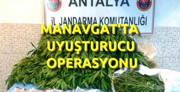 Manavgat Jandarma'dan Sağırin'de Uyuşturucu Operasyonu