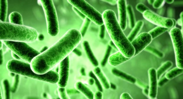 Bilim Adamları Bakteriden Kayıt Cihazı Ürettiler