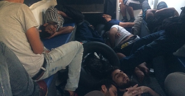 Gazipaşa'da Suriyeli 26 kaçak yakalandı