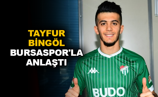Tayfur Bingöl Bursaspor'la anlaştı