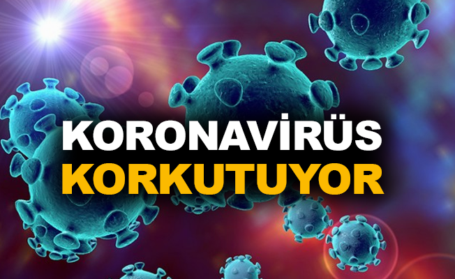 Koronavirüs korkutuyor