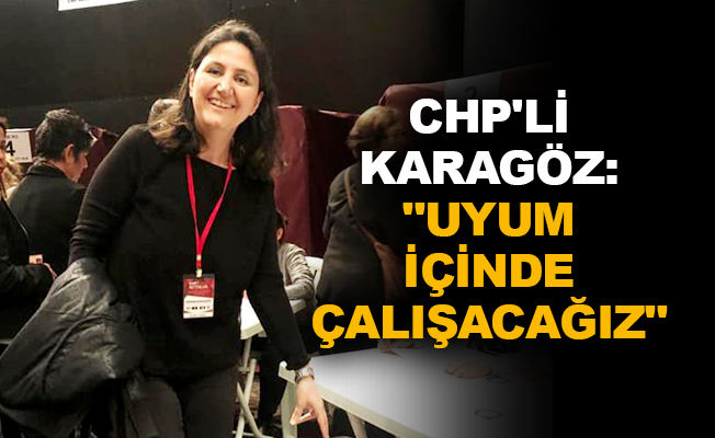 CHP'li Karagöz: "Uyum içinde çalışacağız"